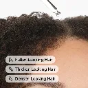 hair.webp