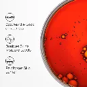 pyco 2.webp