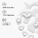 sacch 2.webp
