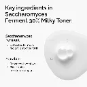sacch 1.webp