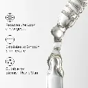 sal 1.webp