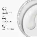 c2.webp