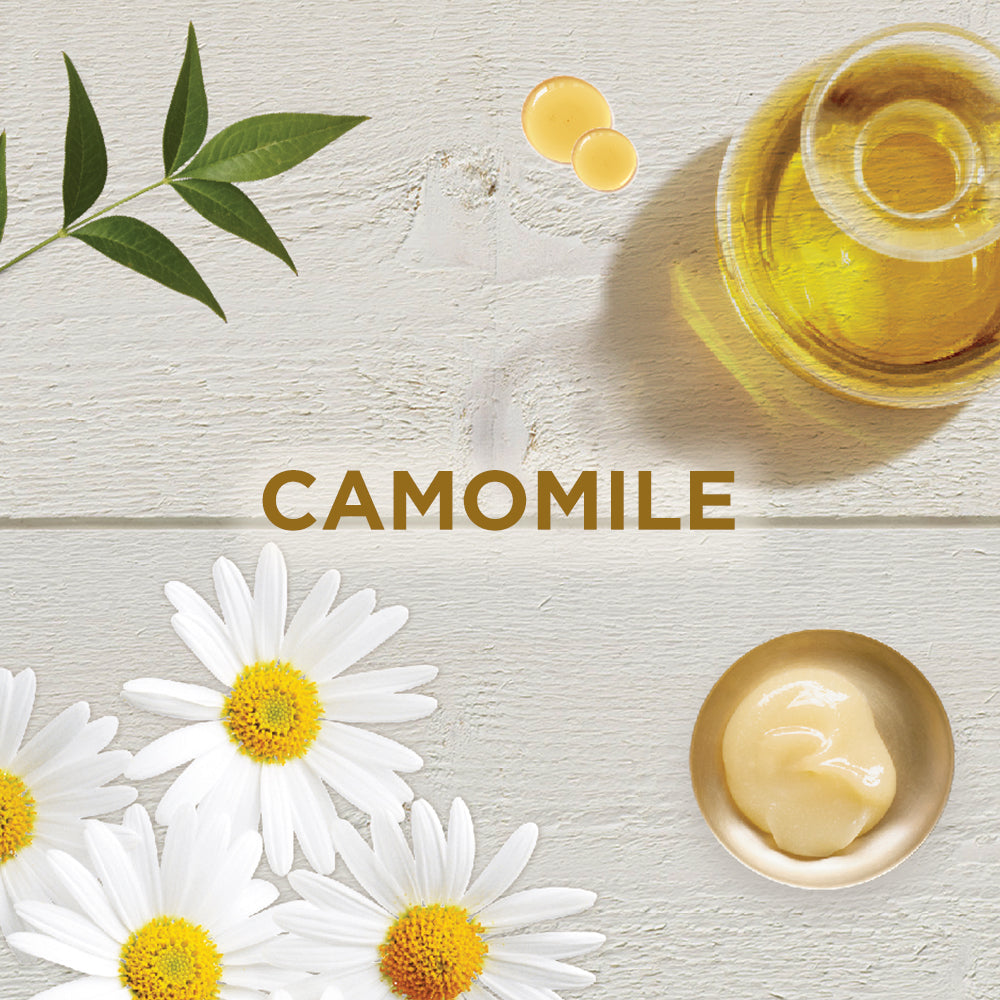 3600541177581_3610340647659_UltraDouxCamomile.jpg