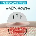 GarnierSkinActiveFastClearInvisiblePimplePatch8HoursHydrocolloid22Patcheshowitworks.webp