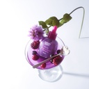 Bakuchiol-Plumping-Serum-EQQUALBERRY-4.jpg