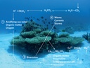 41558_2014_Article_BFnclimate2380_Fig1_HTML.jpg